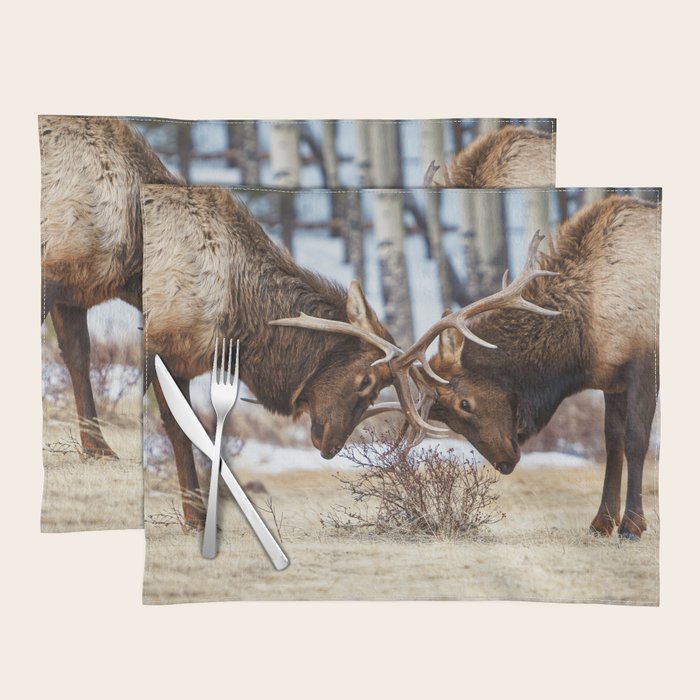 Elk In Rut Rocky Mountain National Park Colorado Wildlife Placemat Gallery Image 1
