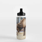 Elk In Rut Rocky Mountain National Park Colorado Wildlife Water Bottle Gallery Image 2