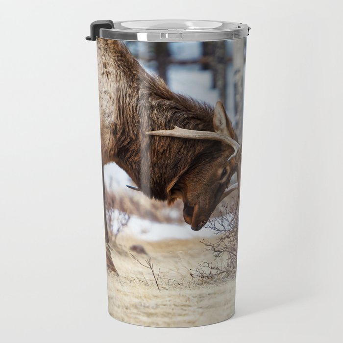 Elk In Rut Rocky Mountain National Park Colorado Wildlife Travel Mug Gallery Image 3