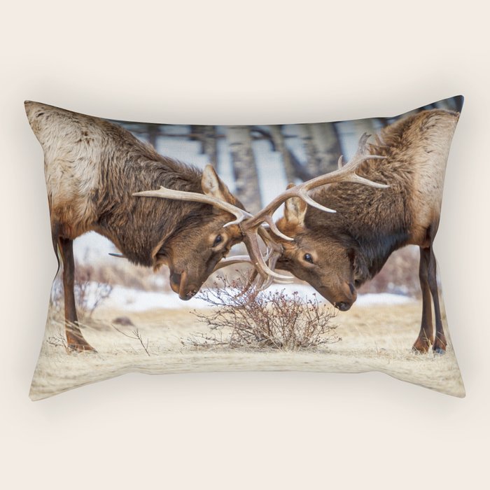 Elk In Rut Rocky Mountain National Park Colorado Wildlife Rectangular Pillow Gallery Image 2