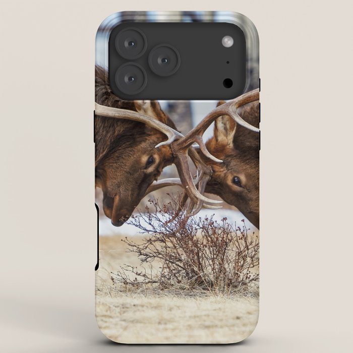 Elk In Rut Rocky Mountain National Park Colorado Wildlife iPhone Case Gallery Image 8