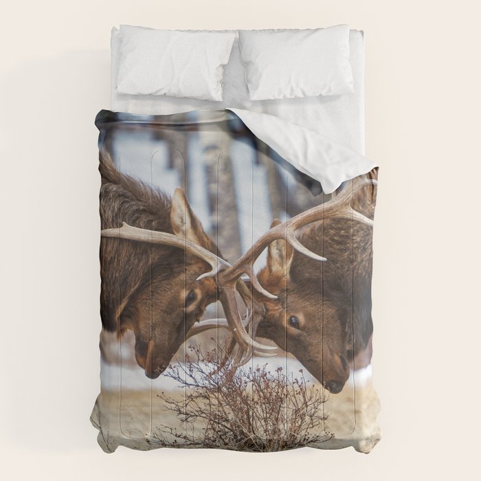 Elk In Rut Rocky Mountain National Park Colorado Wildlife Comforter Gallery Image 6
