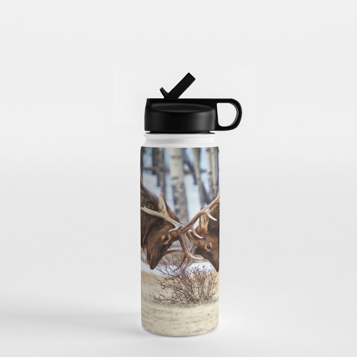 Elk In Rut Rocky Mountain National Park Colorado Wildlife Water Bottle Gallery Image 1