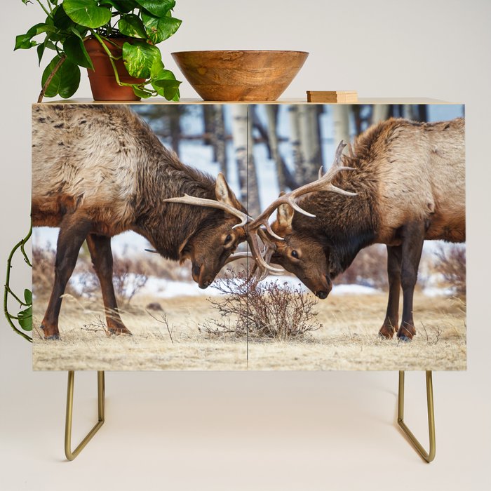 Elk In Rut Rocky Mountain National Park Colorado Wildlife Credenza Gallery Image 1