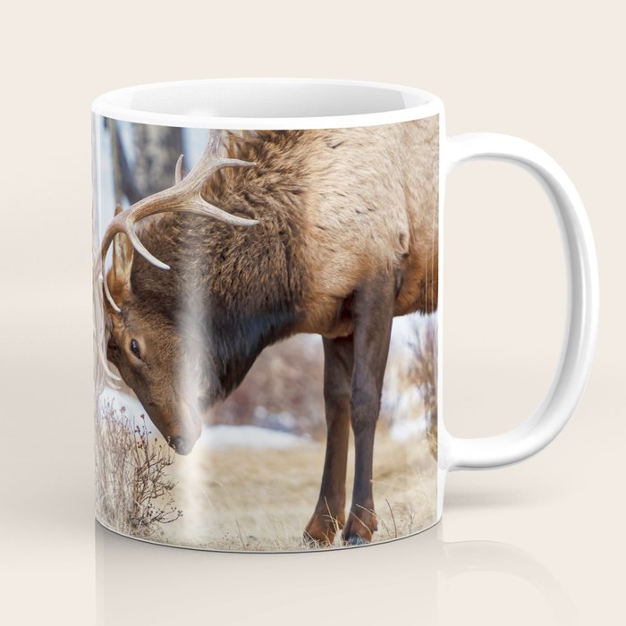 Elk In Rut Rocky Mountain National Park Colorado Wildlife Coffee Mug Gallery Image 1