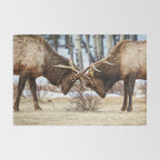 Elk In Rut Rocky Mountain National Park Colorado Wildlife Rug Gallery Image 2