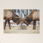 Elk In Rut Rocky Mountain National Park Colorado Wildlife Welcome Mat Gallery Image 1