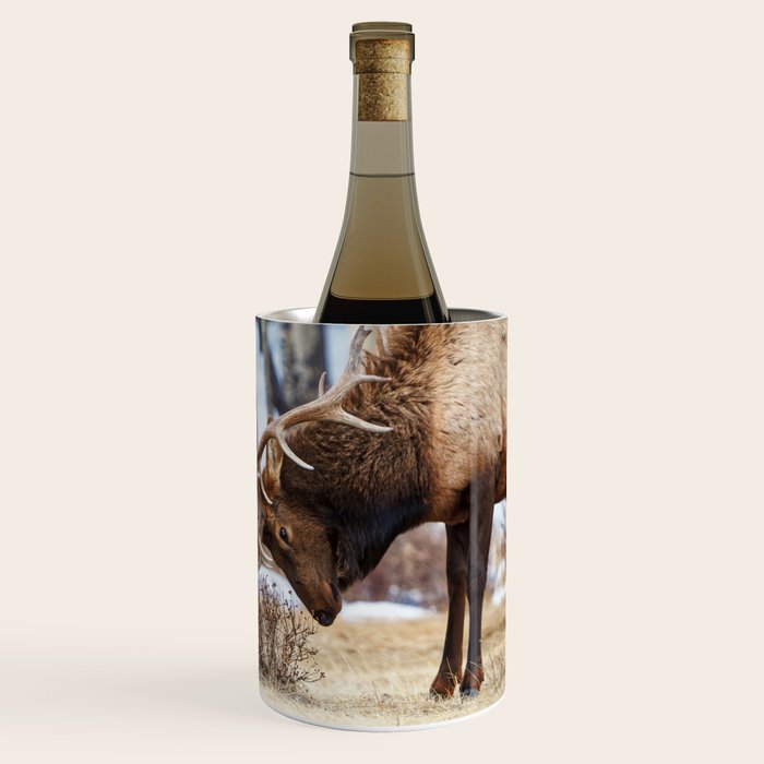 Elk In Rut Rocky Mountain National Park Colorado Wildlife Wine Chiller Gallery Image 3