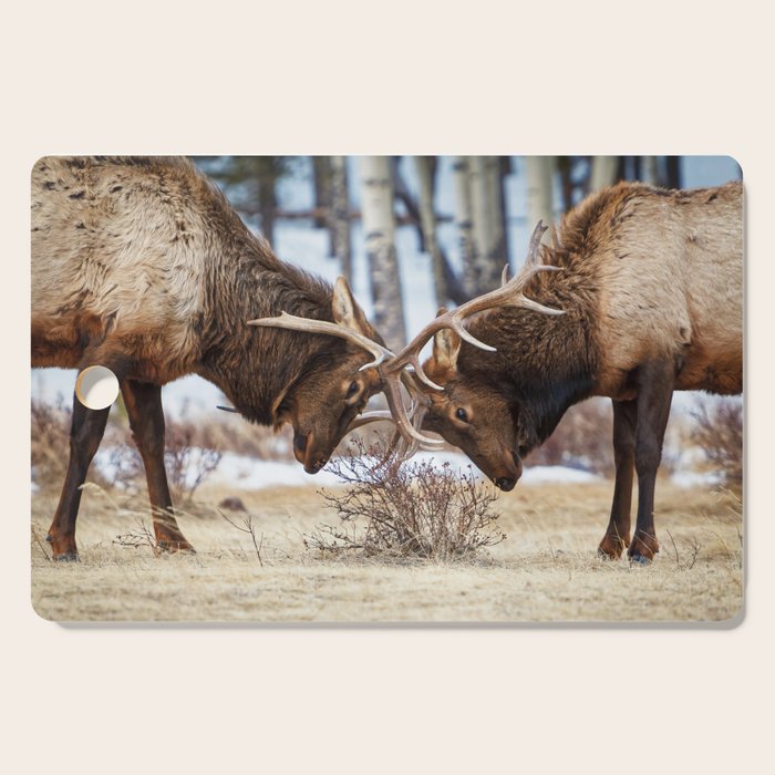 Elk In Rut Rocky Mountain National Park Colorado Wildlife Cutting Board Gallery Image 1