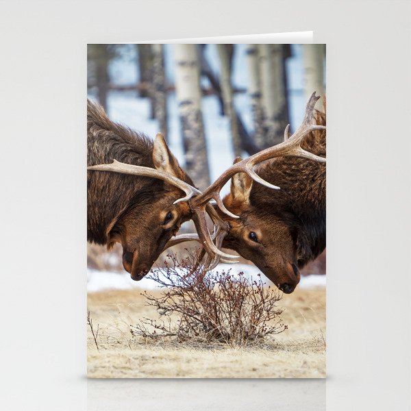 Elk In Rut Rocky Mountain National Park Colorado Wildlife Stationery Card Gallery Image 1
