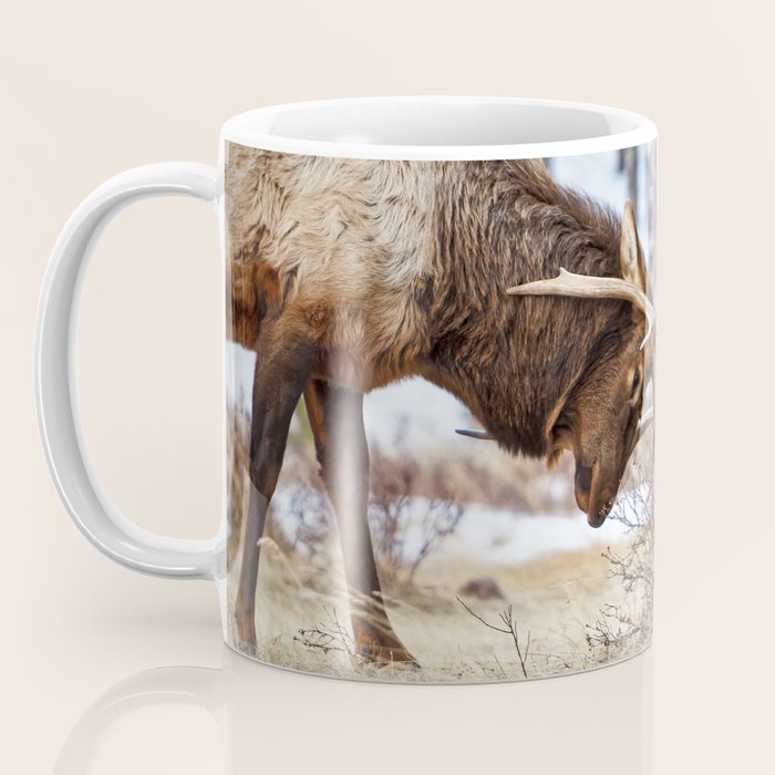 Elk In Rut Rocky Mountain National Park Colorado Wildlife Coffee Mug Gallery Image 3