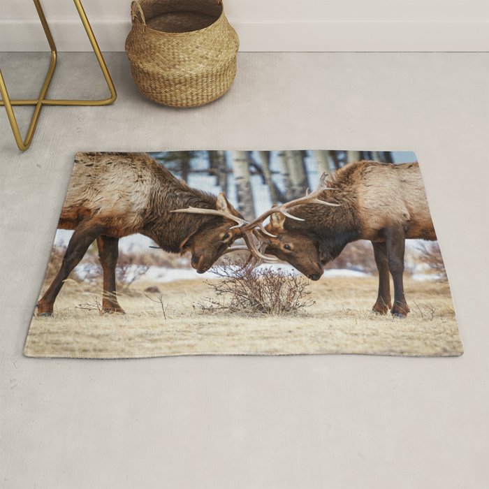 Elk In Rut Rocky Mountain National Park Colorado Wildlife Rug Gallery Image 1