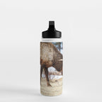 Elk In Rut Rocky Mountain National Park Colorado Wildlife Water Bottle Gallery Image 3