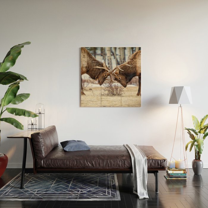 Elk In Rut Rocky Mountain National Park Colorado Wildlife Wood Wall Art Gallery Image 2