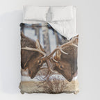 Elk In Rut Rocky Mountain National Park Colorado Wildlife Duvet Cover Gallery Image 6