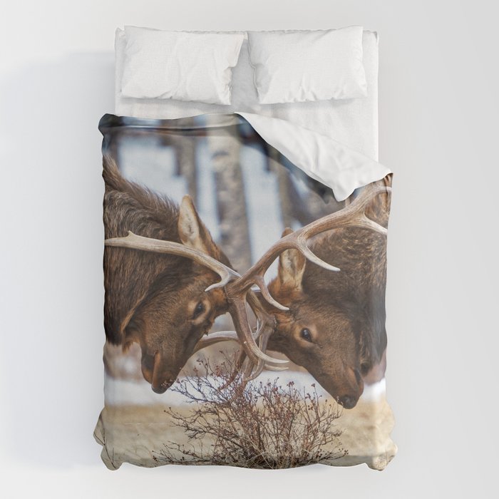 Elk In Rut Rocky Mountain National Park Colorado Wildlife Duvet Cover Gallery Image 6
