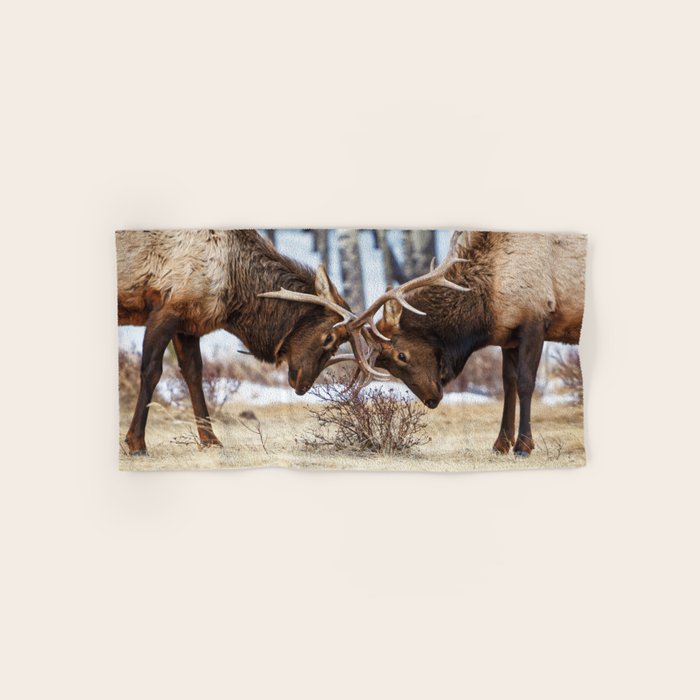 Elk In Rut Rocky Mountain National Park Colorado Wildlife Bath Towel Gallery Image 1