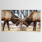 Elk In Rut Rocky Mountain National Park Colorado Wildlife Tablecloth Gallery Image 2