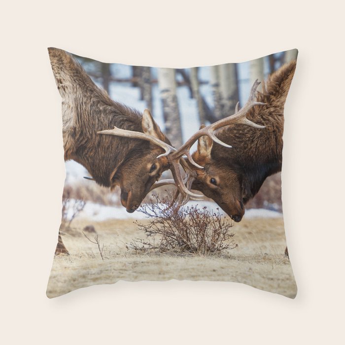 Elk In Rut Rocky Mountain National Park Colorado Wildlife Throw Pillow Gallery Image 6