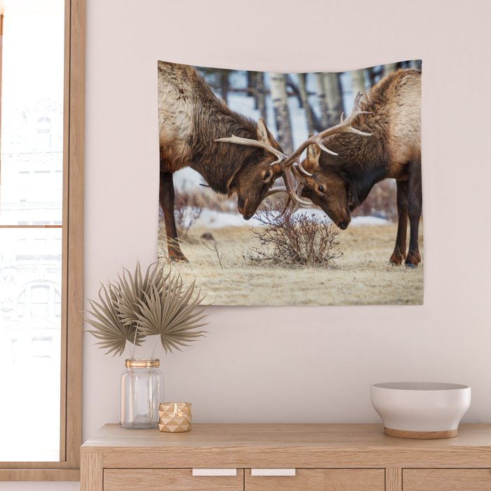 Elk In Rut Rocky Mountain National Park Colorado Wildlife Wall Tapestry Gallery Image 2