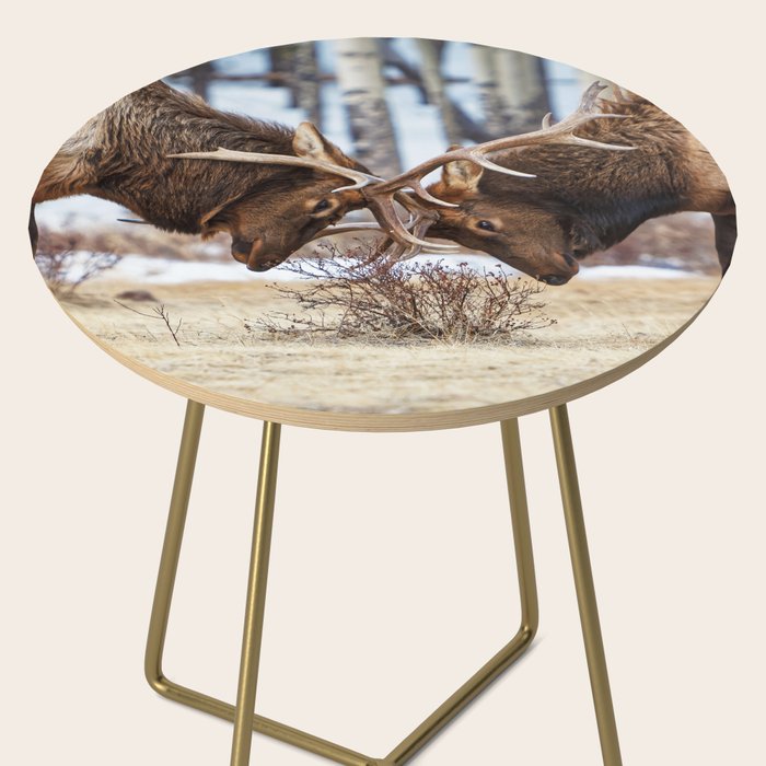 Elk In Rut Rocky Mountain National Park Colorado Wildlife Side Table Gallery Image 2
