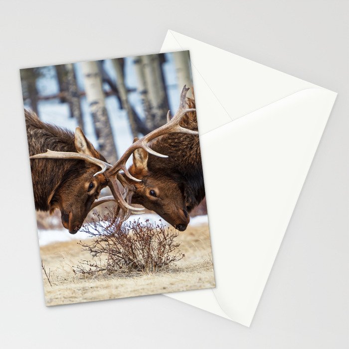 Elk In Rut Rocky Mountain National Park Colorado Wildlife Stationery Card Gallery Image 2