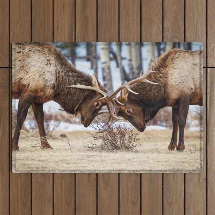Elk In Rut Rocky Mountain National Park Colorado Wildlife Outdoor Rug Gallery Image 1