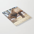 Elk In Rut Rocky Mountain National Park Colorado Wildlife Notebook Gallery Image 2