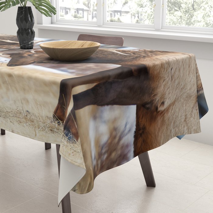 Elk In Rut Rocky Mountain National Park Colorado Wildlife Tablecloth Gallery Image 3