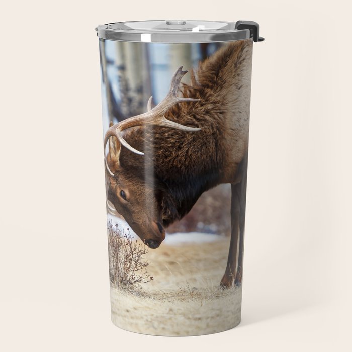 Elk In Rut Rocky Mountain National Park Colorado Wildlife Travel Mug Gallery Image 2