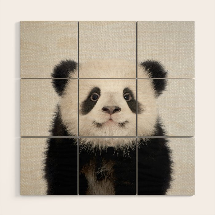 Panda Bear - Colorful Wood Wall Art Gallery Image 1