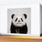 Panda Bear - Colorful Wall Mural Gallery Image 2