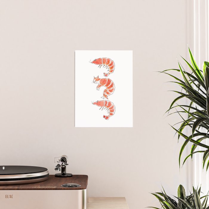 ShrimpCat Poster Gallery Image 2