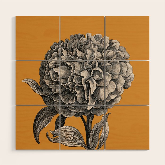 Peony Flower Vintage Modern Botanical Floral Illustration on Butterscotch  Wood Wall Art Gallery Image 1