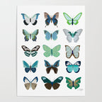 Green and Blue Butterflies Poster Gallery Image 4
