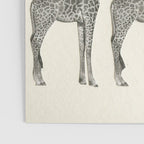 Balancing Act Poster Gallery Image 3