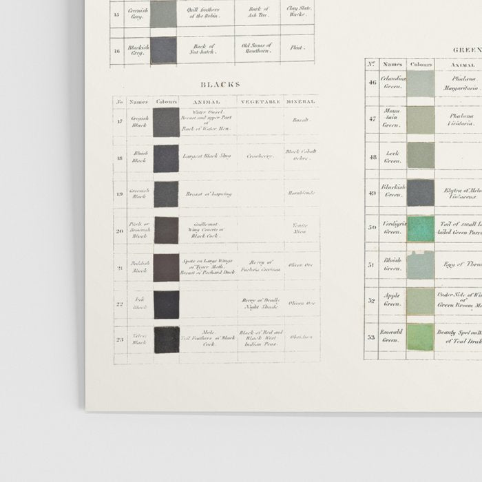 Werner's nomenclature of colour Version II Poster Gallery Image 3