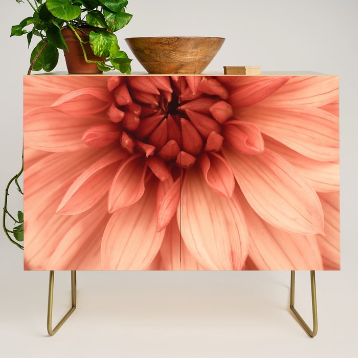 Prima Donna - Modern Botanical Photograph - Dahlia Flower Photo - Floral Print Credenza Gallery Image 1