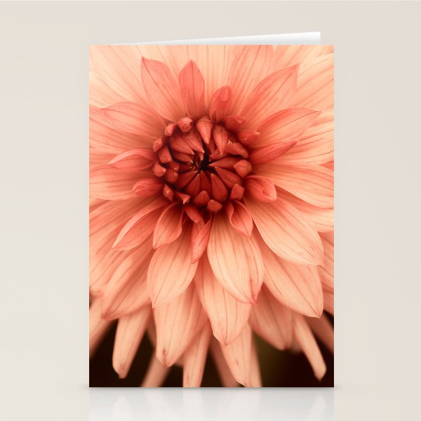 Prima Donna - Modern Botanical Photograph - Dahlia Flower Photo - Floral Print Stationery Card Gallery Image 2