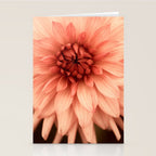 Prima Donna - Modern Botanical Photograph - Dahlia Flower Photo - Floral Print Stationery Card Gallery Image 2