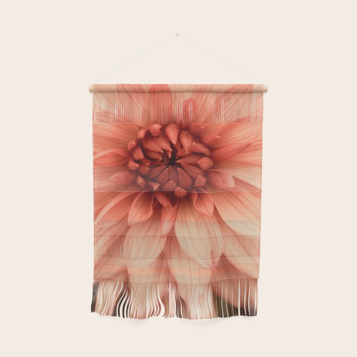 Prima Donna - Modern Botanical Photograph - Dahlia Flower Photo - Floral Print Wall Hanging Gallery Image 1