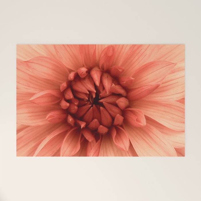Prima Donna - Modern Botanical Photograph - Dahlia Flower Photo - Floral Print Welcome Mat Gallery Image 1