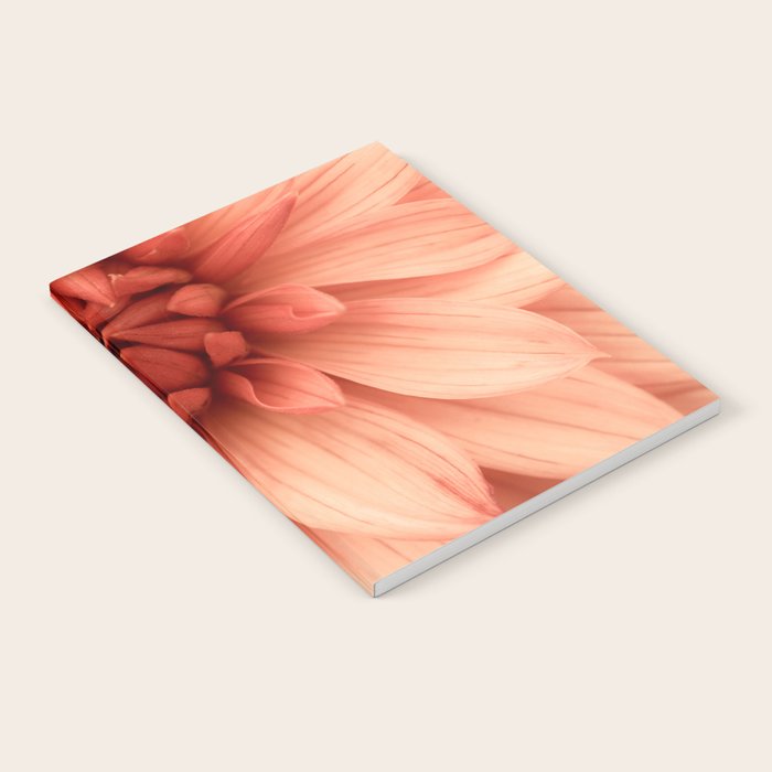 Prima Donna - Modern Botanical Photograph - Dahlia Flower Photo - Floral Print Notebook Gallery Image 1