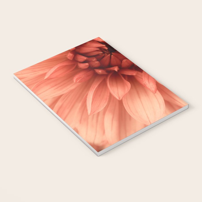 Prima Donna - Modern Botanical Photograph - Dahlia Flower Photo - Floral Print Notebook Gallery Image 3