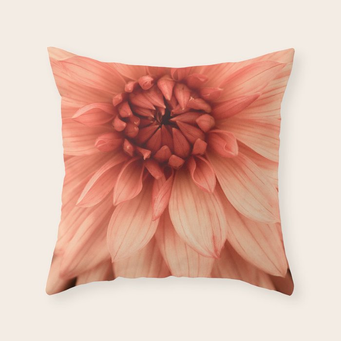 Prima Donna - Modern Botanical Photograph - Dahlia Flower Photo - Floral Print Throw Pillow Gallery Image 1