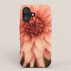Prima Donna - Modern Botanical Photograph - Dahlia Flower Photo - Floral Print iPhone Case Gallery Image 1