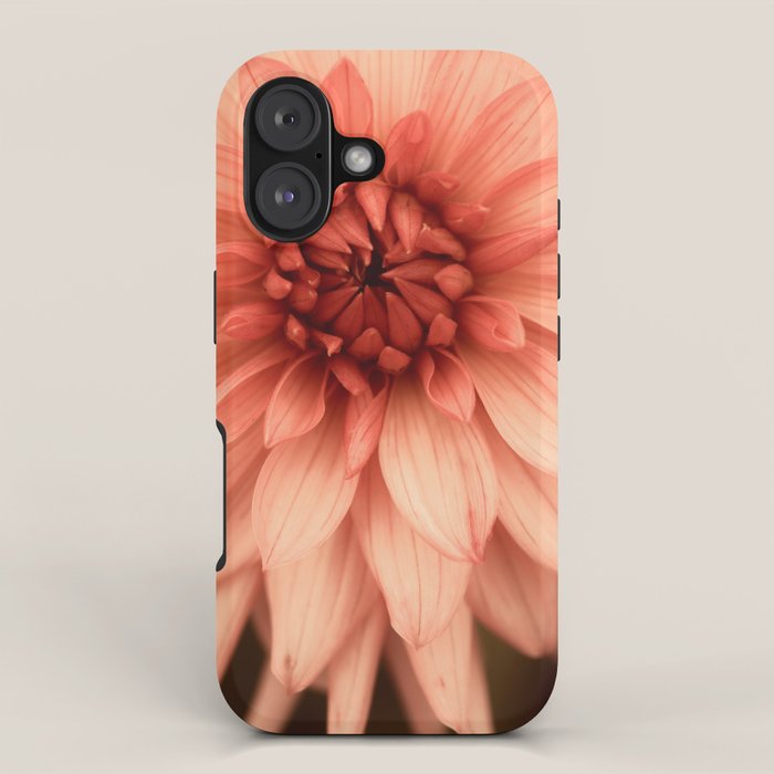 Prima Donna - Modern Botanical Photograph - Dahlia Flower Photo - Floral Print iPhone Case Gallery Image 1