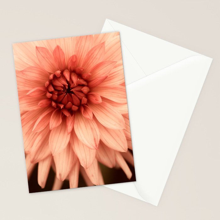 Prima Donna - Modern Botanical Photograph - Dahlia Flower Photo - Floral Print Stationery Card Gallery Image 2