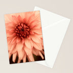Prima Donna - Modern Botanical Photograph - Dahlia Flower Photo - Floral Print Stationery Card Gallery Image 2