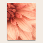 Prima Donna - Modern Botanical Photograph - Dahlia Flower Photo - Floral Print Notebook Gallery Image 4